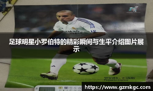 足球明星小罗伯特的精彩瞬间与生平介绍图片展示